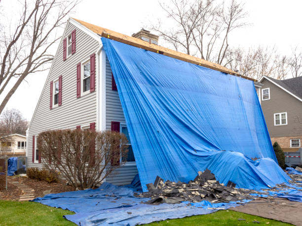 Best Siding Painting and Refinishing  in Ortonville, MI