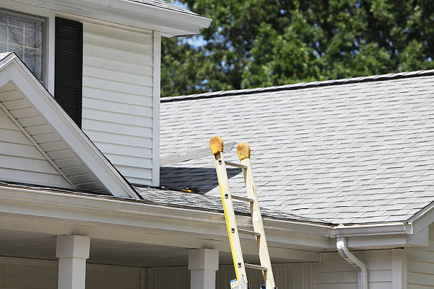 Best Residential Vinyl Siding Installation  in Ortonville, MI