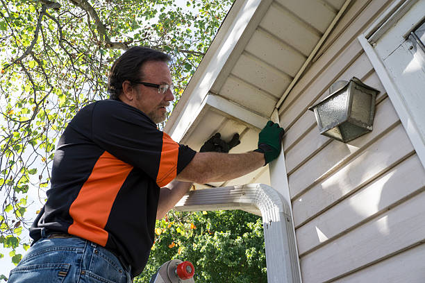 Best Brick Veneer Siding  in Ortonville, MI